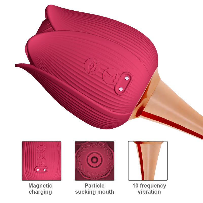 Usb Rechargeable Rose Toys For Women